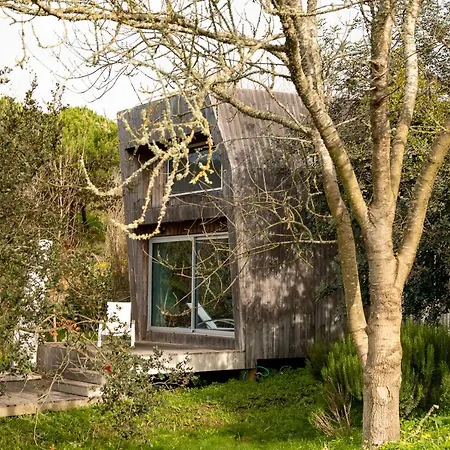 O Vale * אריסרייה