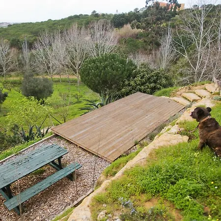 בית נופש O Vale *