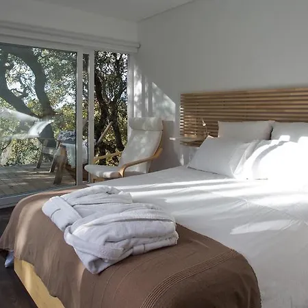 O Vale אריסרייה