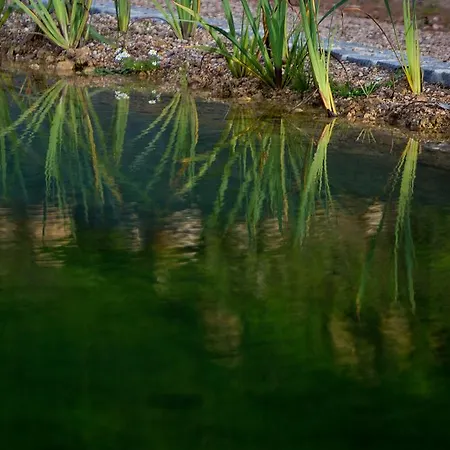 O Vale * 埃里塞拉