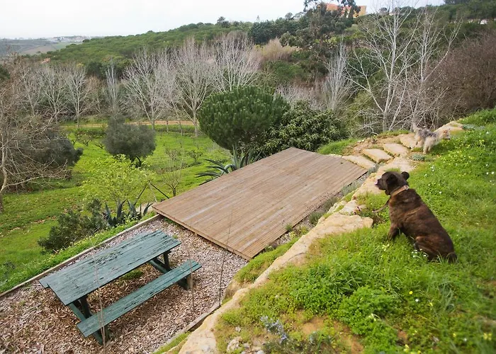 Dom wakacyjny O Vale *