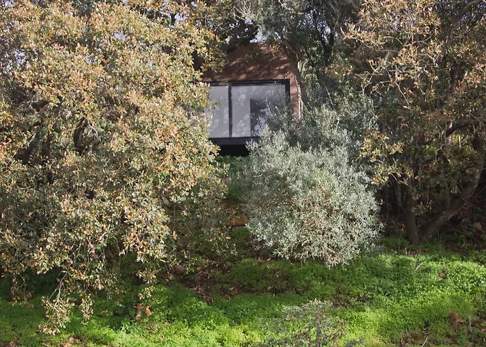 Dom wakacyjny O Vale *