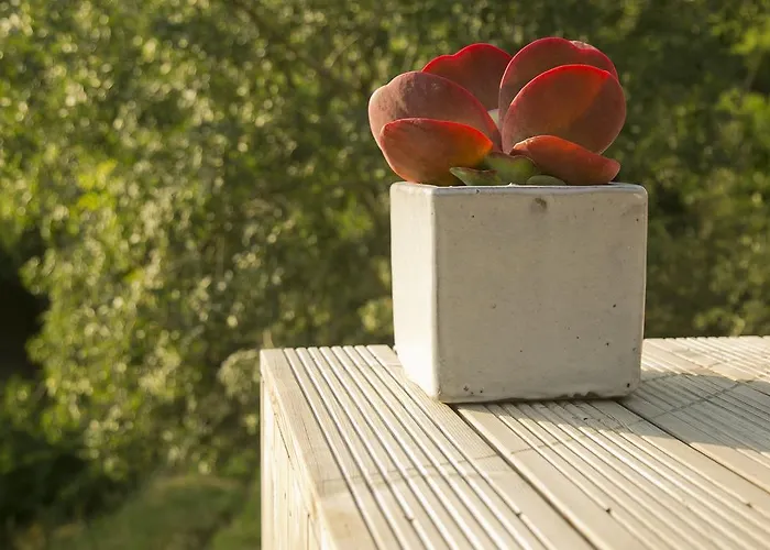 Dom wakacyjny O Vale