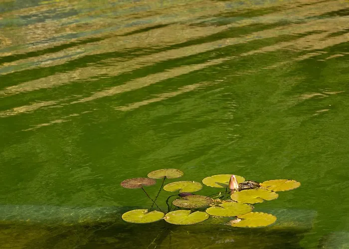 O Vale Dom wakacyjny