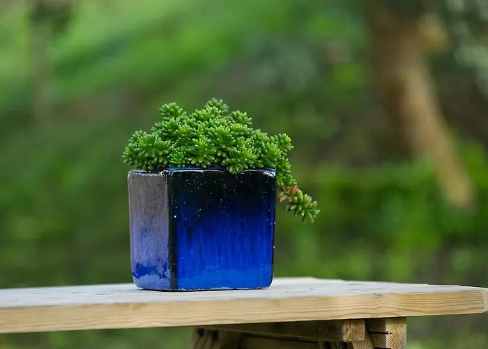 Dom wakacyjny O Vale